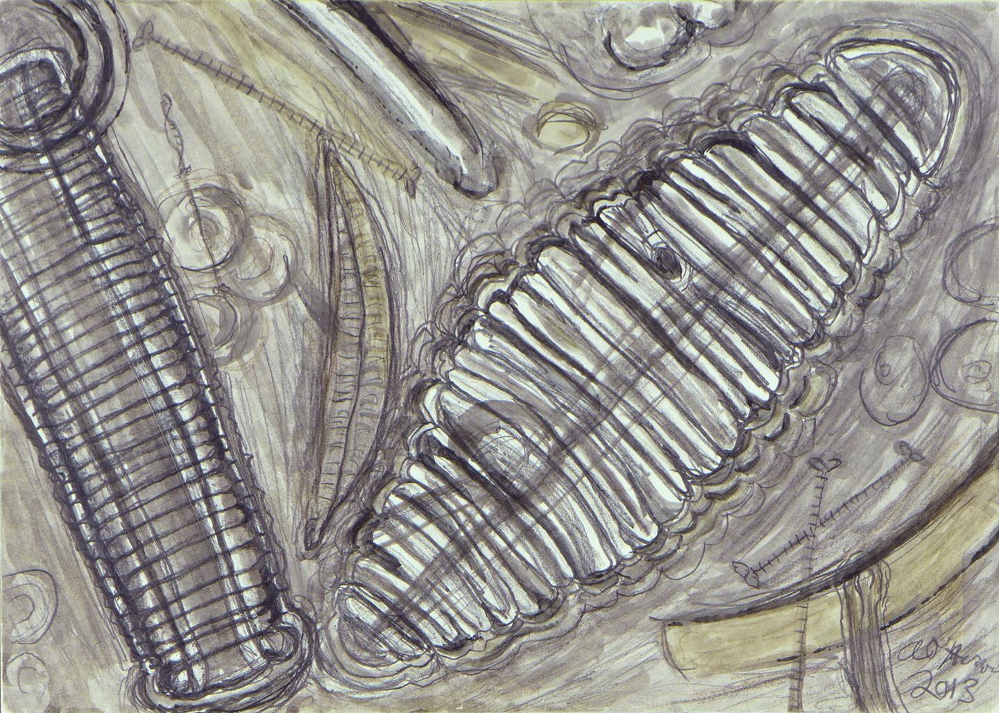 Diatoma vulgare var vulgare