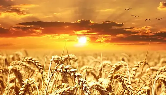 Energie Balance - Chakra Balance