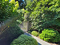 Hydrangea garden by spaces landscape architecture Quogue