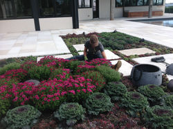 Detailing a Garden Bed