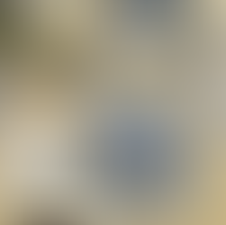 Sunflower Party plates by Everyday Elegance