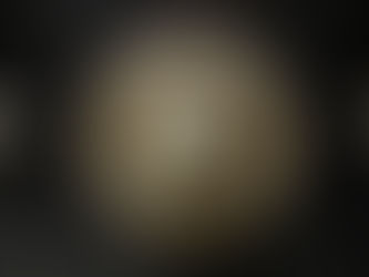 Lion’s Head Door Knockers. Welcoming? Or menacing?