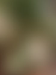 Spring Shopping Event NYC