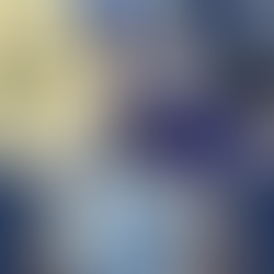 Blue Party plates by Everyday Elegance