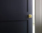 Interior Doors