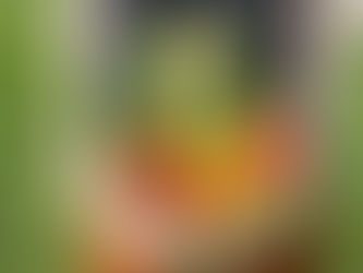 のどか村の野菜シーズン