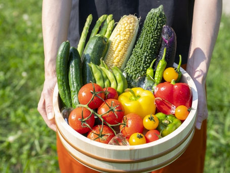 のどか村の野菜シーズン