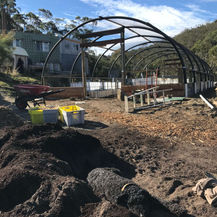 Custom Made Orchard - Knopwood Street Creations