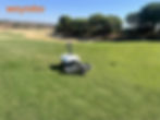 Wayrobo golf ball picking robot WayPick 2 in Portugese driving range