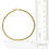 Thumbnail: Gold Rhinestone Hoop Earrings TD3934