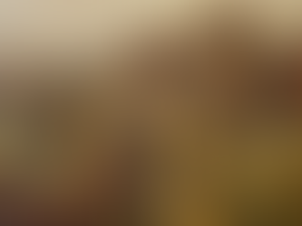 005 Кан Тервел: Спасителят на Европа