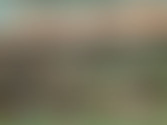 190 The Early Stages of The First Balkan War