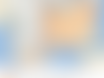 199 The First National Catastrophe