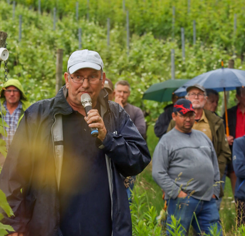 Weinbergbegehung 2025