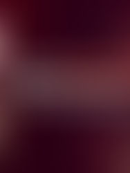 Why Is Lucidpic Becoming Popular for AI-Generated Headshots?