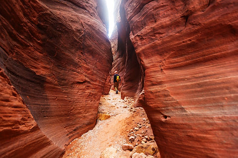 Walking through a red canyon