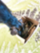 Thumbnail: chew