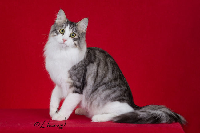 759669CE-7EC4-4E39-B9D7-0E005D579E08