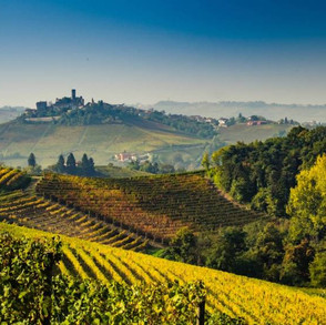 langhe_paesaggio.jpeg