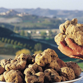 tartufo-bianco-di-alba.jpeg