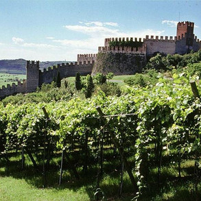 valpolicella-vino_ng1.jpeg