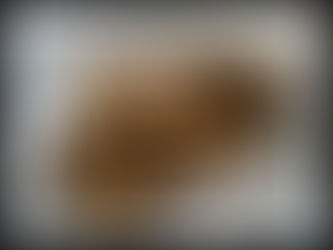 The Granola Bars I Make Every Week