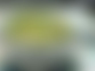 Avocado Chicken Salad