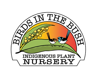 Birds In The Bush.png