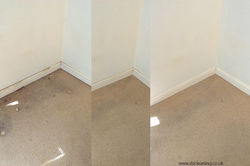Carpets and skirting boards