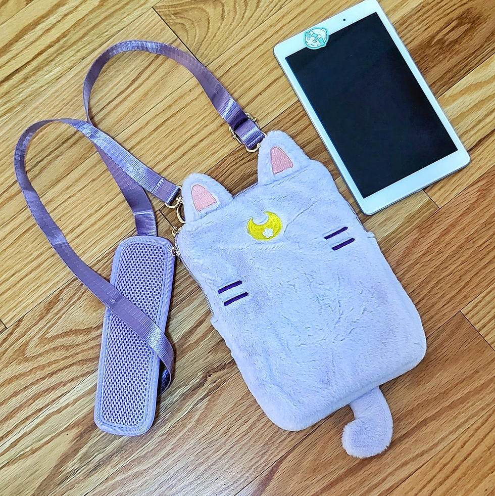 Thumbnail: iPad sleeve bags (CLEARANCE)