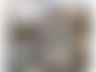 すまいる通信小谷田5月号(No.1)