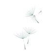 Copy of Copy of zana (10).png