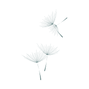 Copy of Copy of zana (10).png
