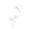 Copy of Copy of zana (10).png