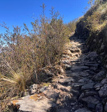 Screen Shot 05-19-25 at 07.25 PM.PNG