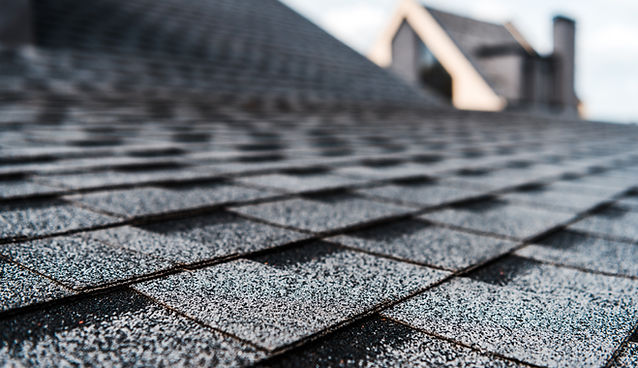 Palomino Roofing photo 3