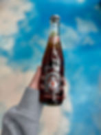 Gene Simmons Moneybag Diet Cola