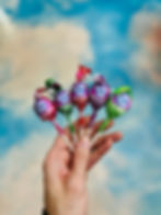 Charms Blow Pop Assorted