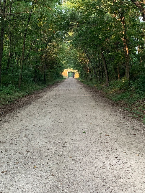 KT_Windsor_Clinton_TrailCulvert_2.jpg