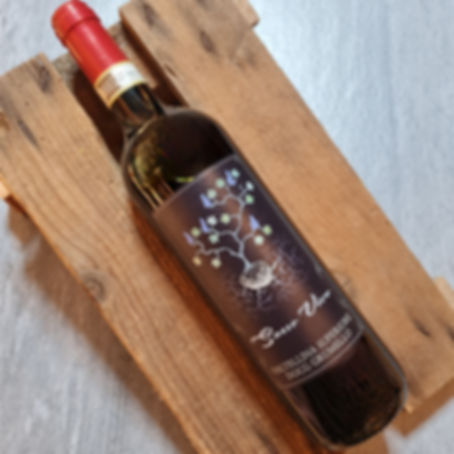 Grumello Sasso Vivo Nebbiolo Valtellina RetroBottega