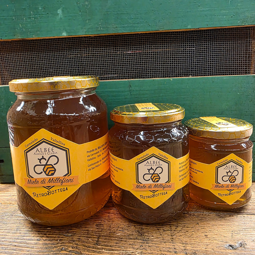 Miniatura: Miele Valtellina Retrobottega