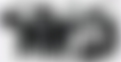 ՊԱՐԵԿՆԵՐԻ ԴԱԺԱՆ ՊԱՀՎԱԾՔԸ ԵՐԻՏԱՍԱՐԴ ԿՆՈՋ ՈՒ ԵՐԵԽԱՅԻ ՆԿԱՏՄԱՄԲ