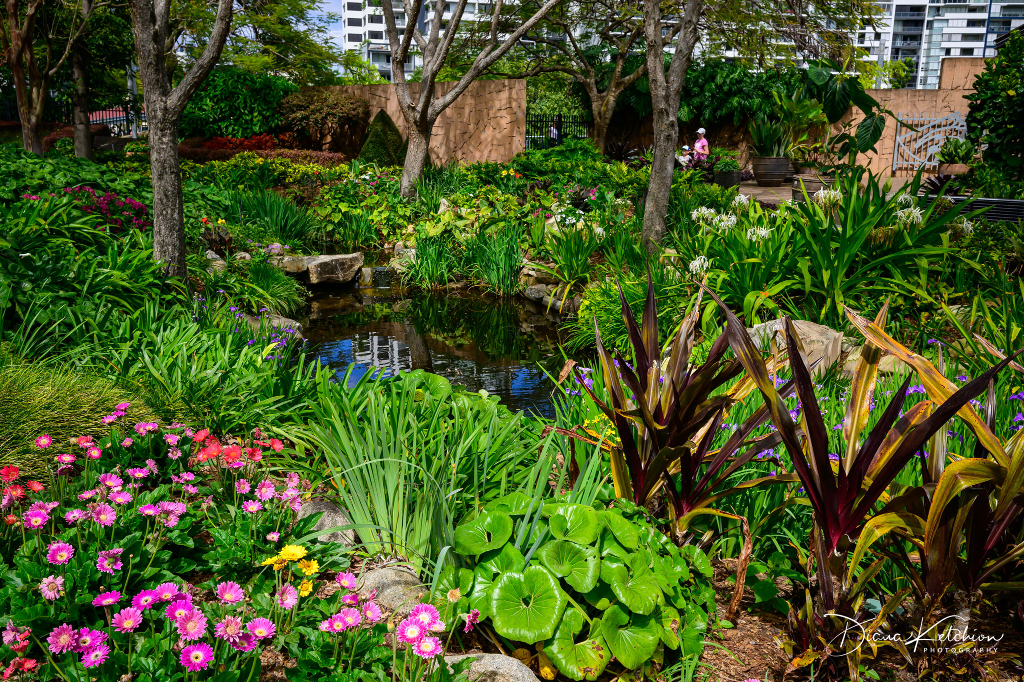 Roma Street Parklands II