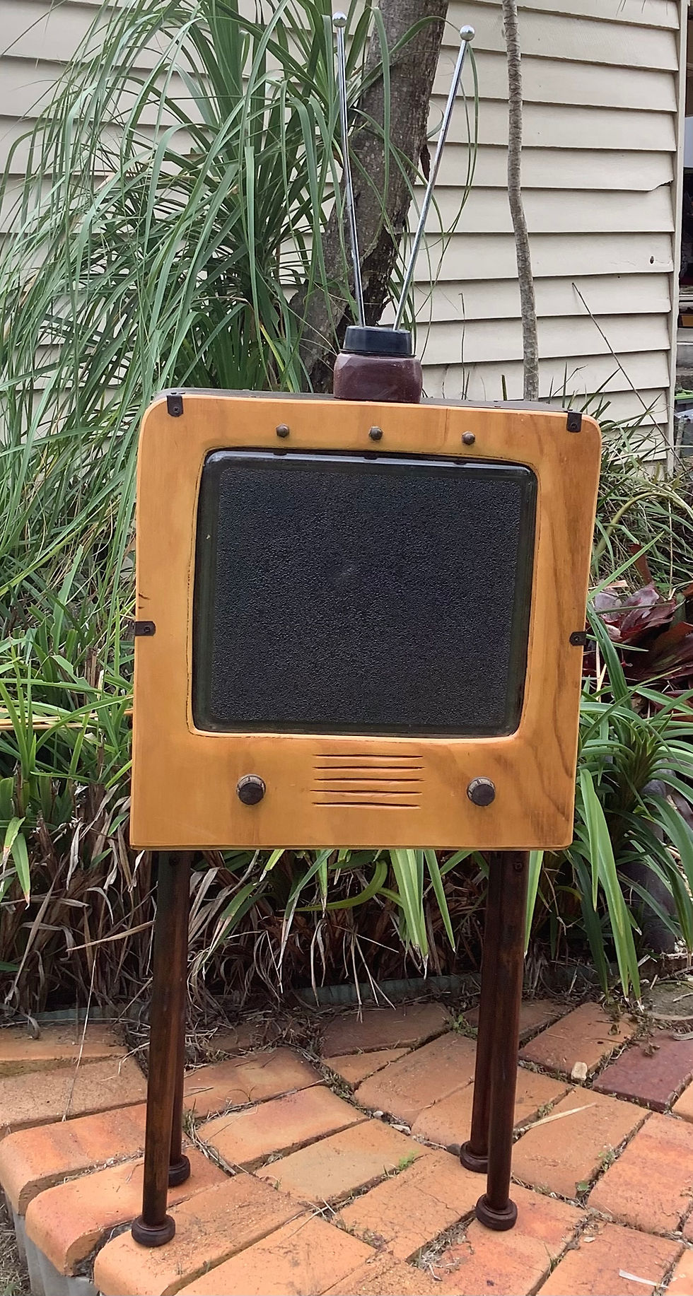 Toni McIsaac    The Telly