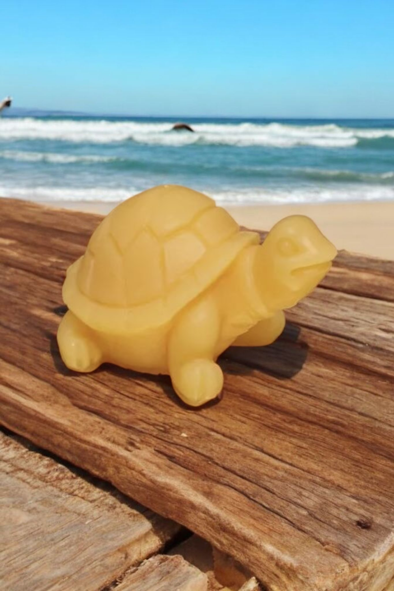 fondant tortue parfumé