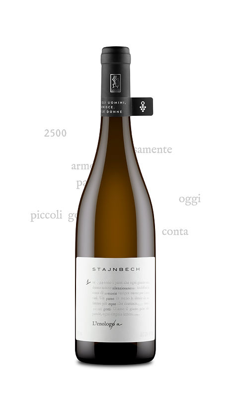 Tavola disegno 1_1080x-100.jpg