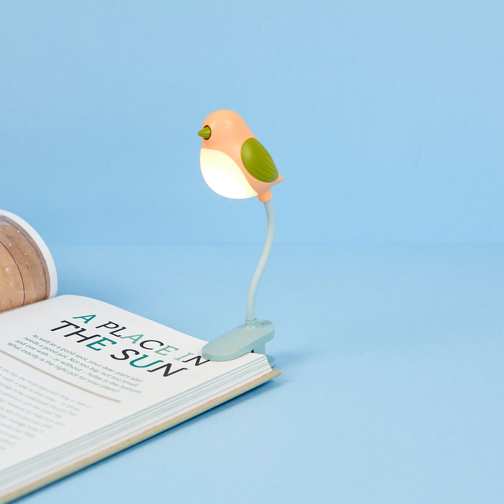 Miniatura: LUCE DA LETTURA BIRDIE
