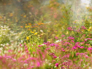 Räume für Veränderung, Kreativität & innere Klarheit