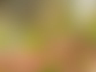 Räume für Veränderung, Kreativität & innere Klarheit