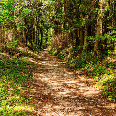 Ein Leben neu anfangen mit 50+: Warum Klarheit wichtiger ist als ein Plan